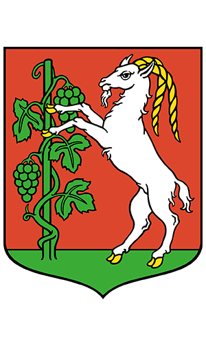 Lublin Herb